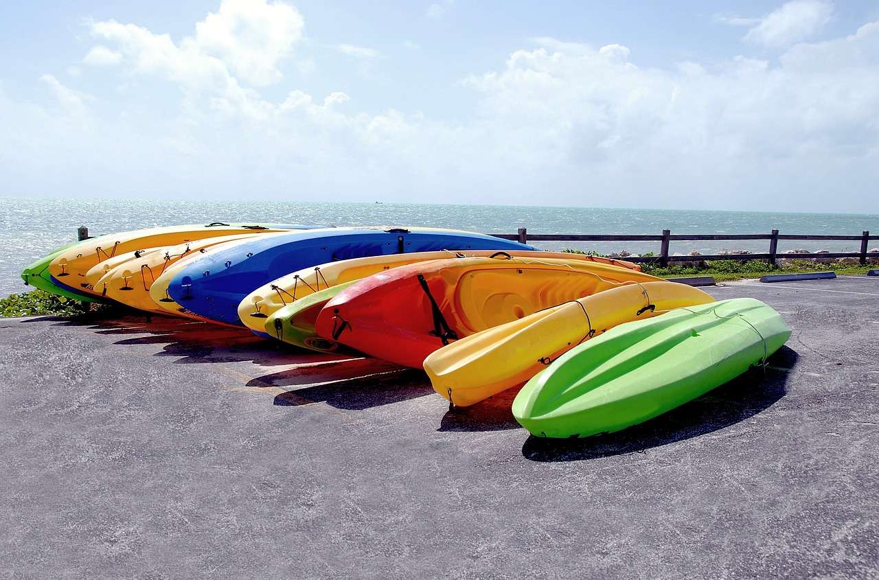 kayaks, for rent, colorful-1703716.jpg